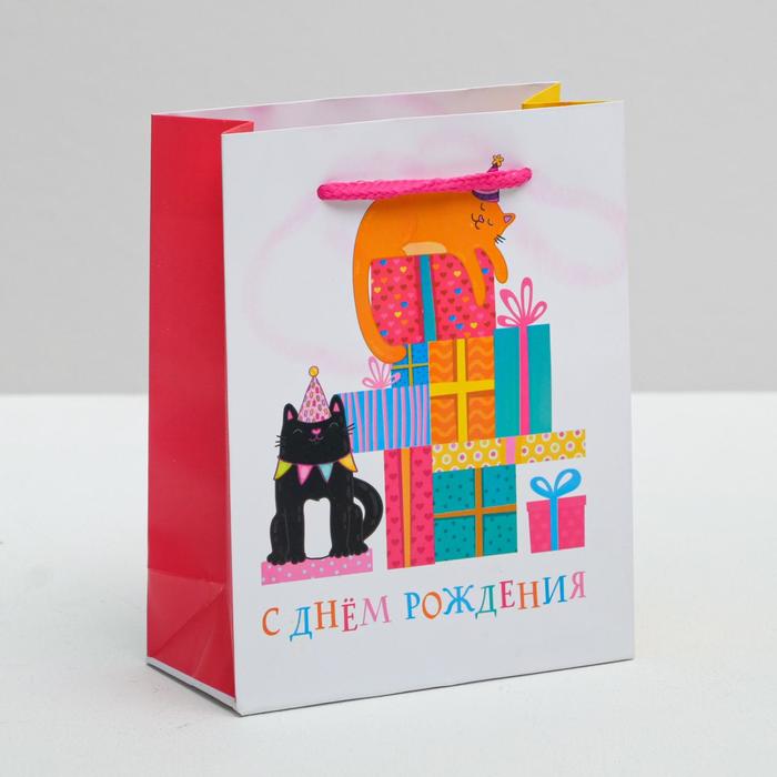 Пакет ламинированный вертикальный «Поздравляю С Днём Рождения!», S 11 × 14 × 5,5 см