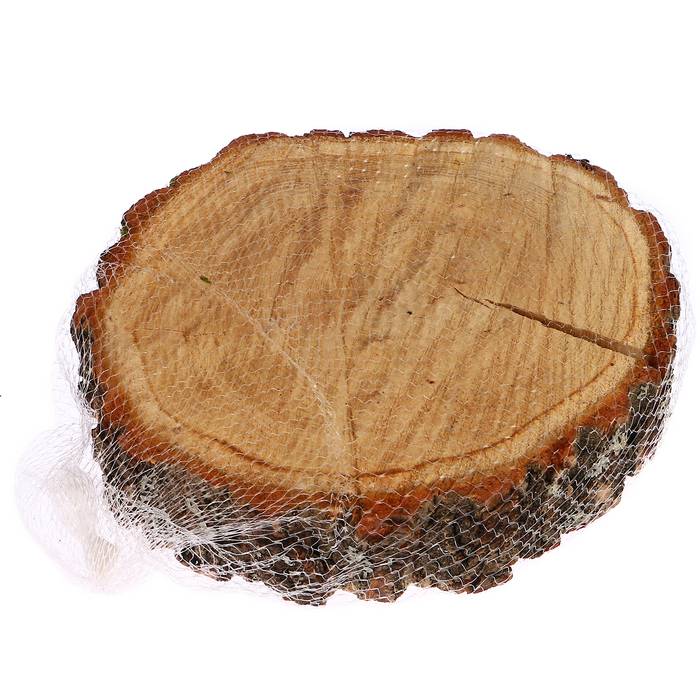 Спил дуба, шлифованный с одной стороны, диаметр 20-25 см, толщина 3-4 см