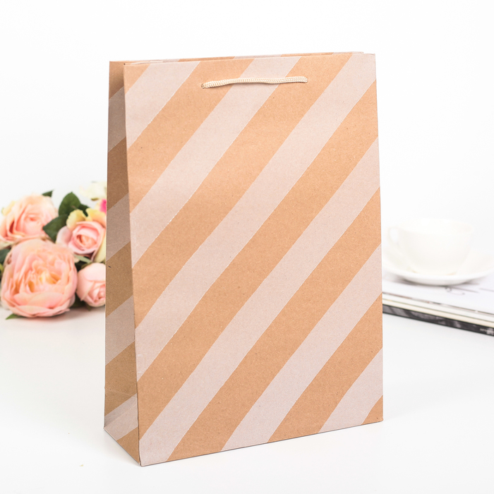 Пакет крафт "Диагональ", 19 х 8 х 24 см