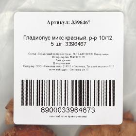 

Гладиолус микс красный, р-р 10/12, 5 шт