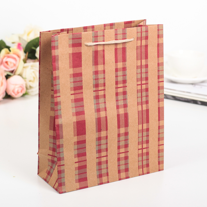Пакет крафт "Виши", 19 х 8 х 24 см