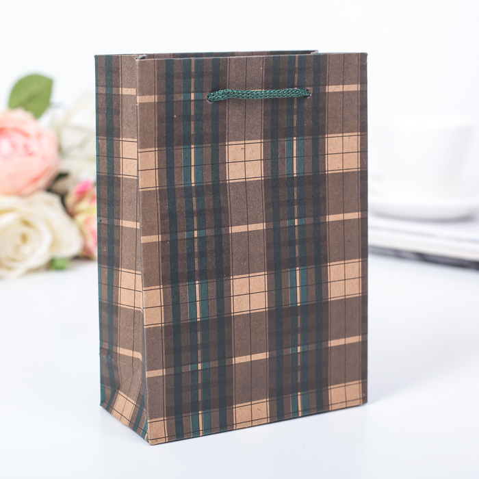 Пакет крафт "Клетка", 12 х 6 х 17 см