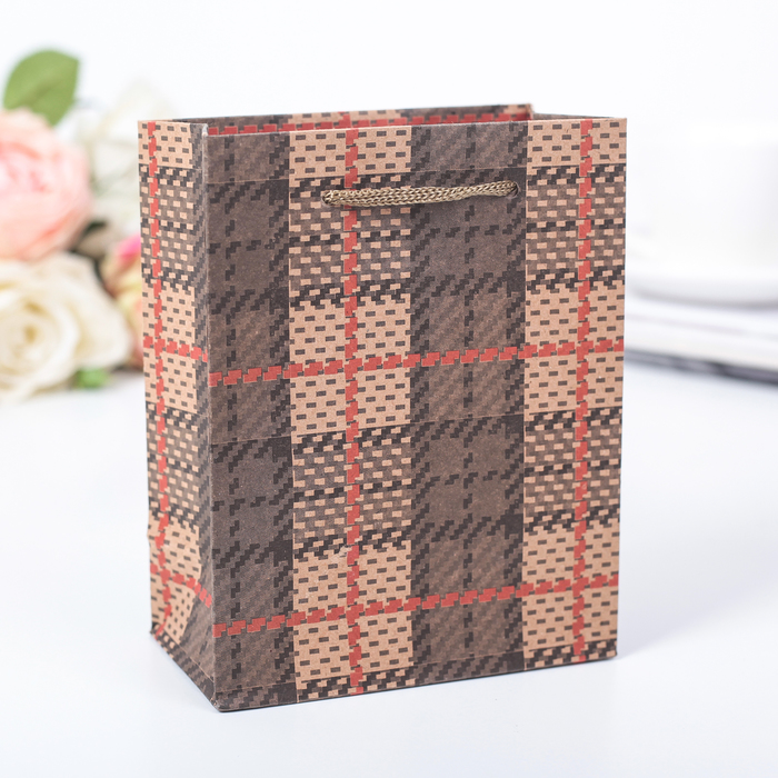Пакет крафт "В клеточку", 11,5 х 6 х 14,5 см