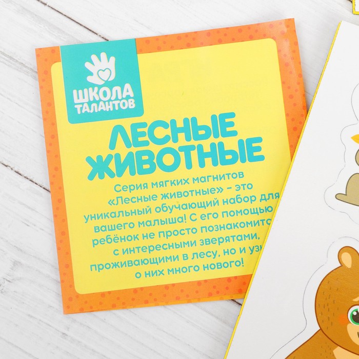 Магниты мягкие "Лесные животные", набор 12 шт.