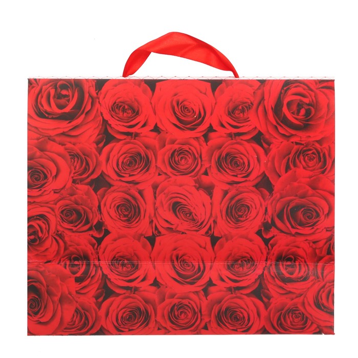 Пакет подарочный «Счастье», MS 23 × 18 × 8 см