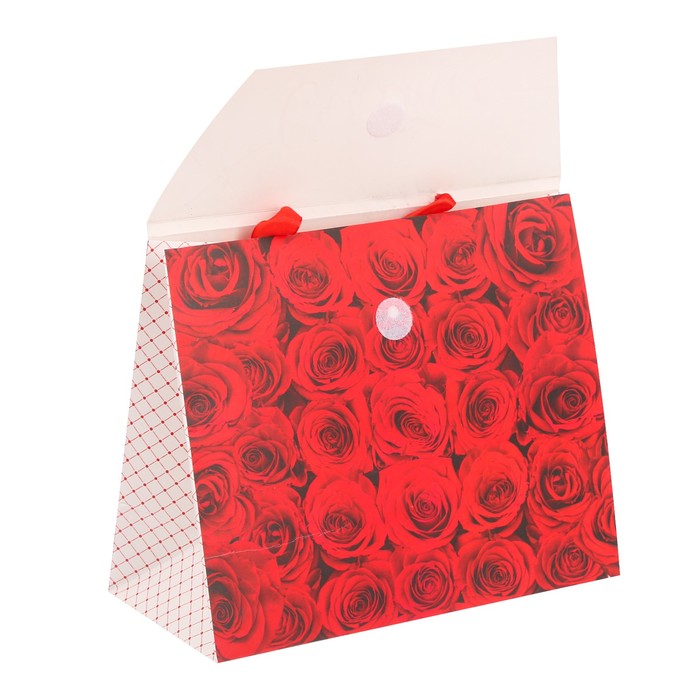 Пакет подарочный «Счастье», MS 23 × 18 × 8 см