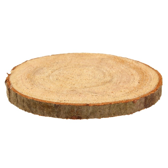 Набор срезов ели, диаметр 9-11см, толщина 5 мм, 5шт