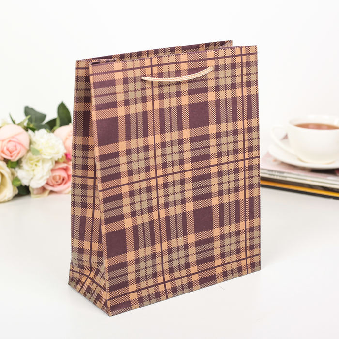 Пакет крафт "Фиолетовая клетка", 19 х 8 х 24 см