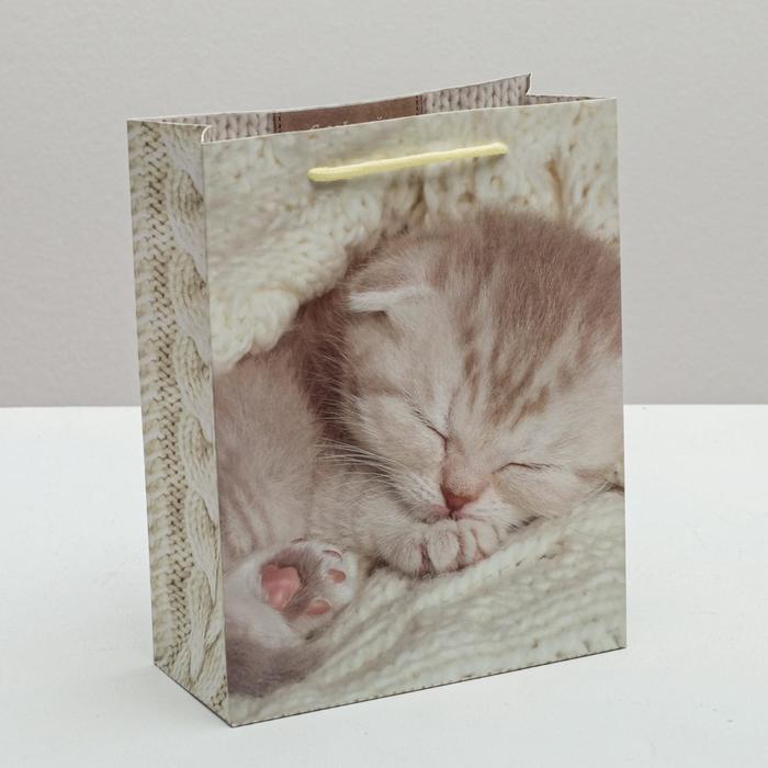 Пакет ламинированный вертикальный «Нежности», MS 18 × 23 × 8 см