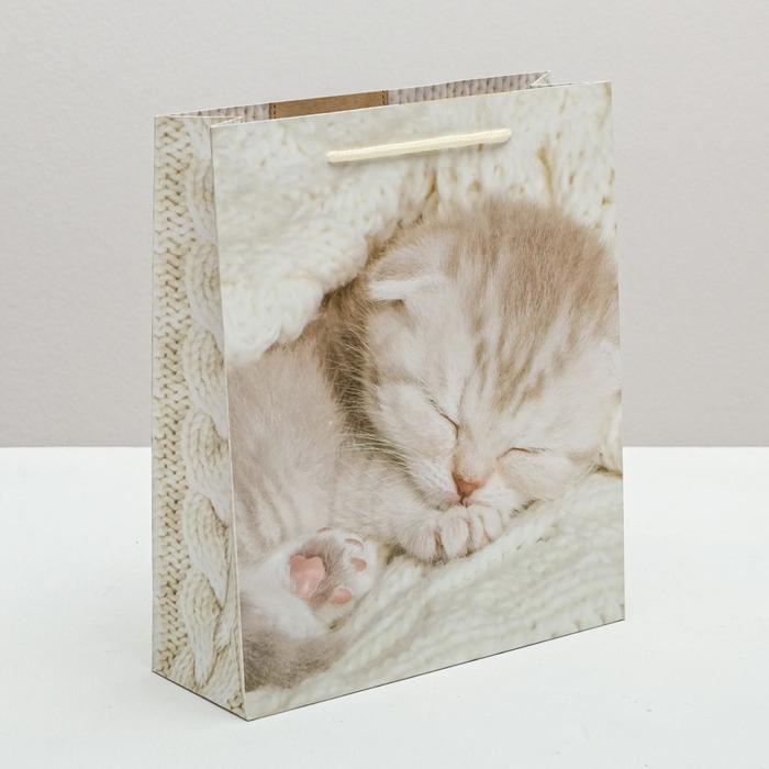 Пакет ламинированный вертикальный «Нежности», ML 23 × 27 × 8 см