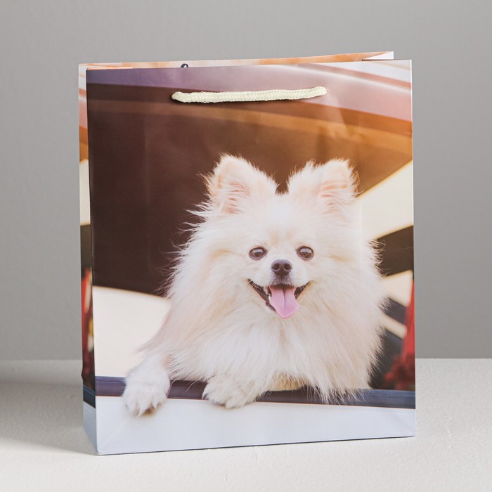 Пакет ламинированный вертикальный «Счастливого настроения!», ML 23 × 27 × 8 см