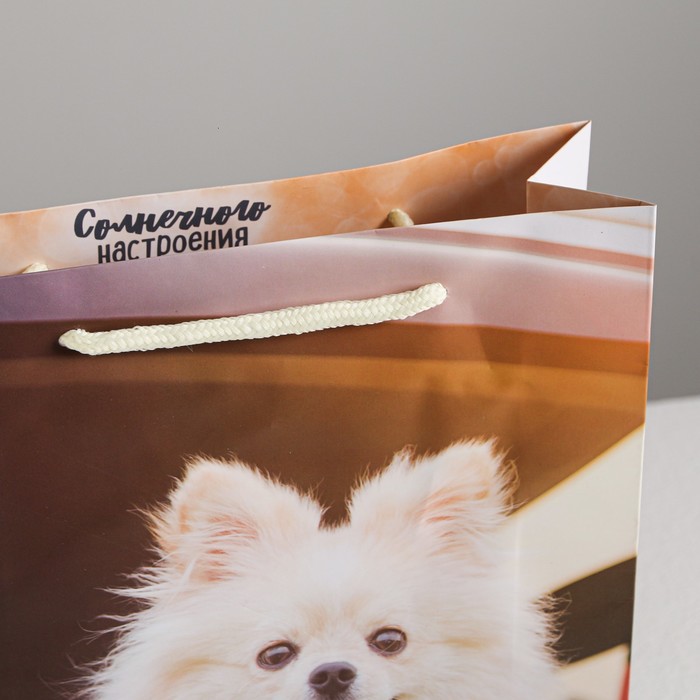 Пакет ламинированный вертикальный «Счастливого настроения!», ML 23 × 27 × 8 см