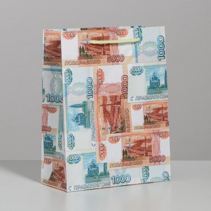 Пакет ламинированный вертикальный «Деньги», MS 18 × 23 × 8 см