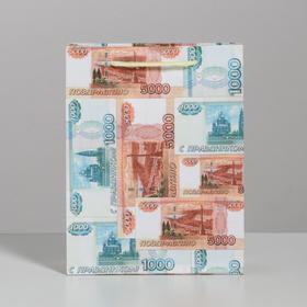 

Пакет ламинированный вертикальный «Деньги», MS 18 × 23 × 8 см