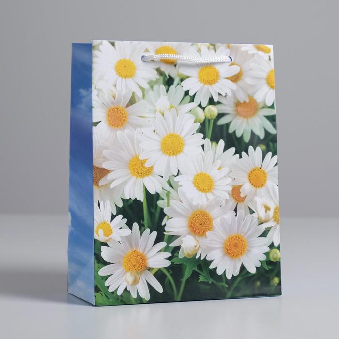 Пакет ламинированный вертикальный «Ромашки полевые», MS 18 × 23 × 8 см
