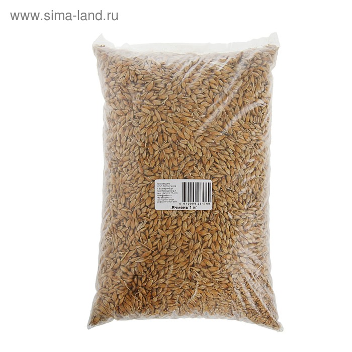 Семена Ячмень Поспелов, 1 кг цена и фото