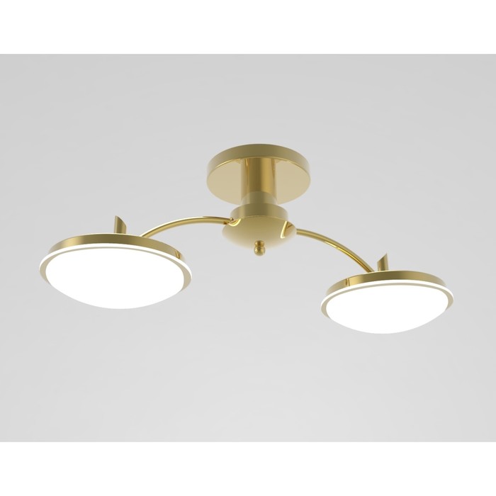 Люстра потолочная "Сияние 2" 2x12Вт LED золото 57x18x22,5см