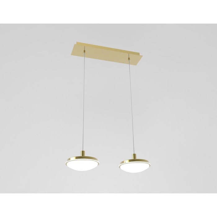 Люстра подвес "Барник" 2x12Вт LED золото 68x18x100см