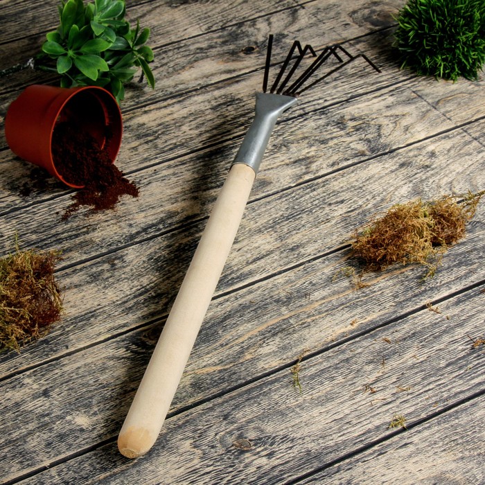 Грабли веерные, пластинчатые, 6 зубцов, длина 60 см, оцинкованная сталь, деревянная ручка