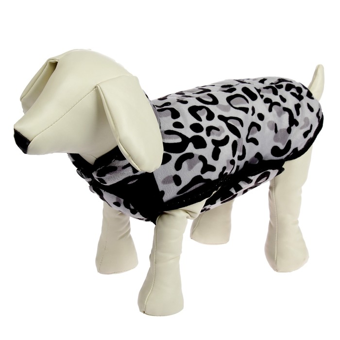 Попона теплая Elite, размер 3, 40 см, микс цветов