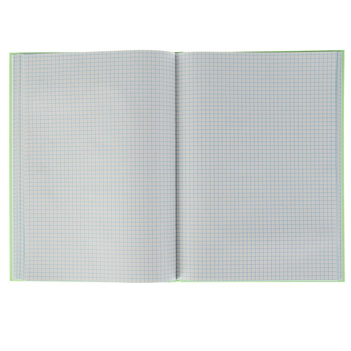 Книга учета Calligrata 96 листов, клетка, зелёная обложка, блок газетка