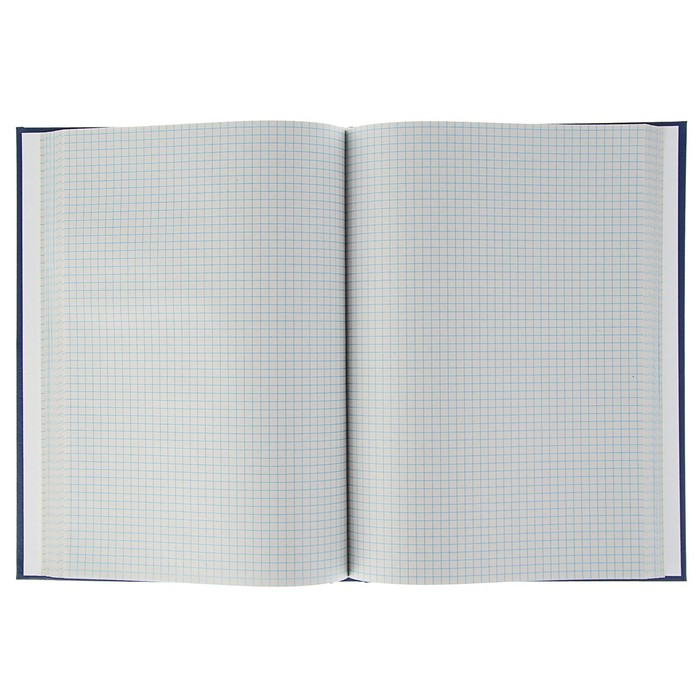 Книга учета Calligrata 192 листа, клетка, обложка бумвинил, блок газетка