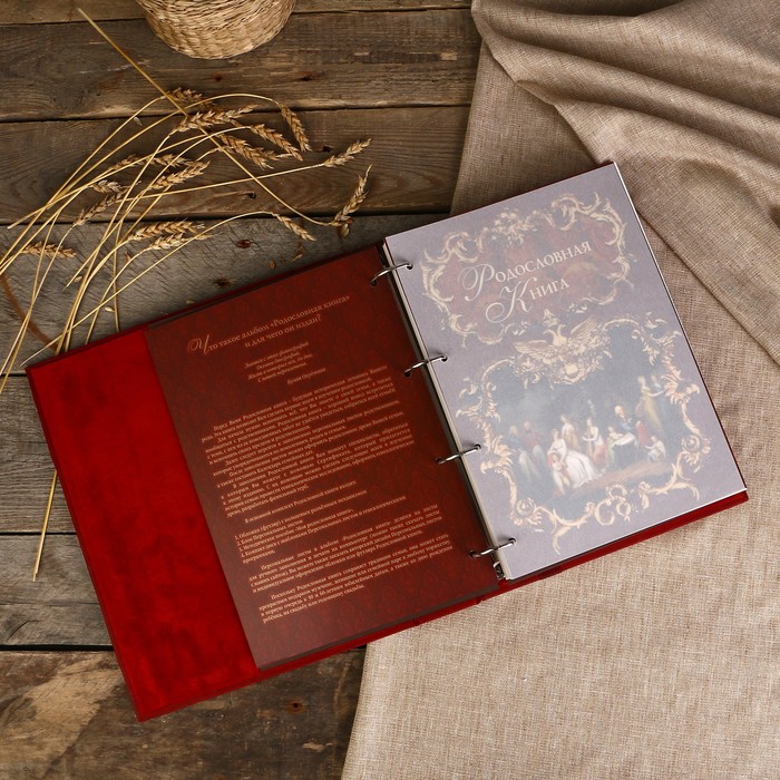 Родословная книга "Парадная" 26×31,5×7 см, 108 листов, натур. кожа