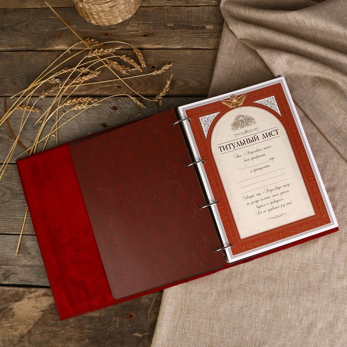 Родословная книга "Парадная" 26×31,5×7 см, 108 листов, натур. кожа