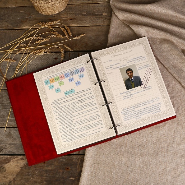 Родословная книга "Парадная" 26×31,5×7 см, 108 листов, натур. кожа