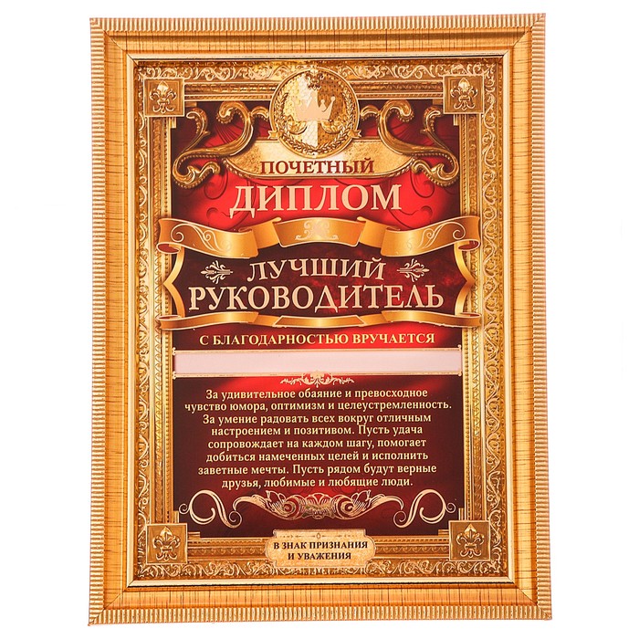 Диплом в рамке "Лучший руководитель"