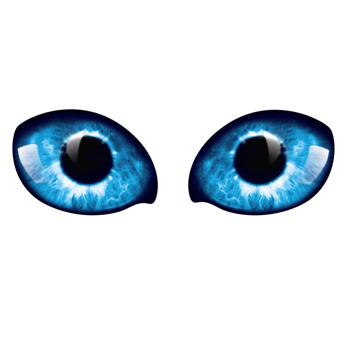 Набор наклеек на авто "Волк", 2 шт.