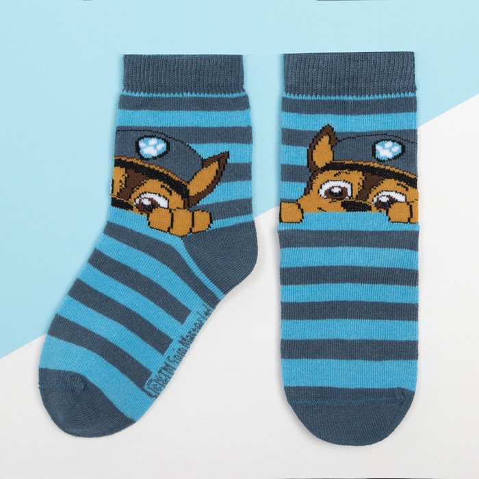 Носки PAW PATROL "Гончик", голубой/синий, 14-16 см