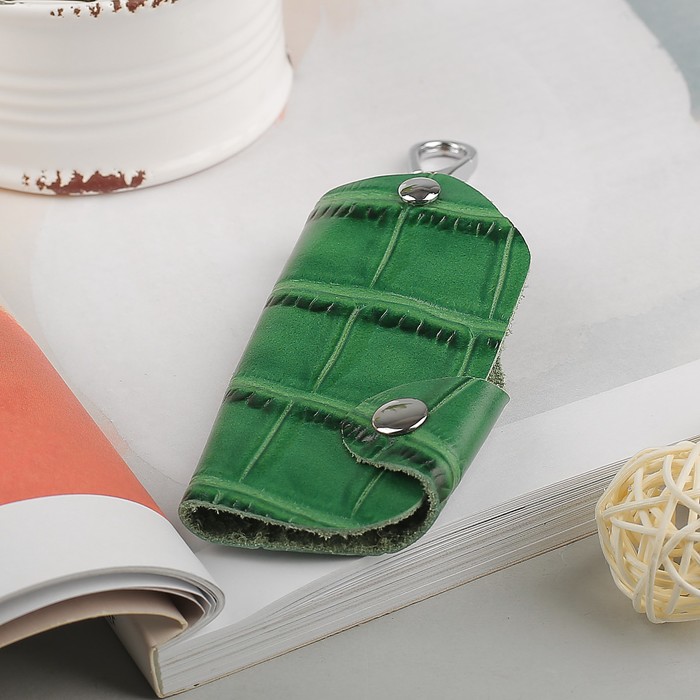 Ключница на кнопке, кольцо внутри, карабин, цвет зелёный