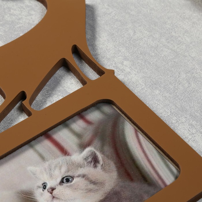 Фоторамка-коллаж "Кошки" 5 фото шимо светлый