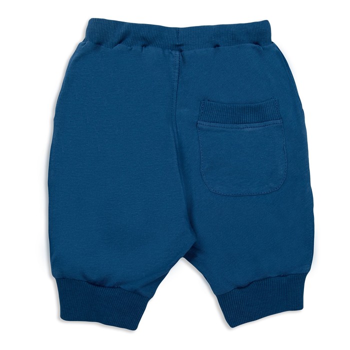 Бриджи для мальчика, рост 80 см, цвет синий ШР458 _М