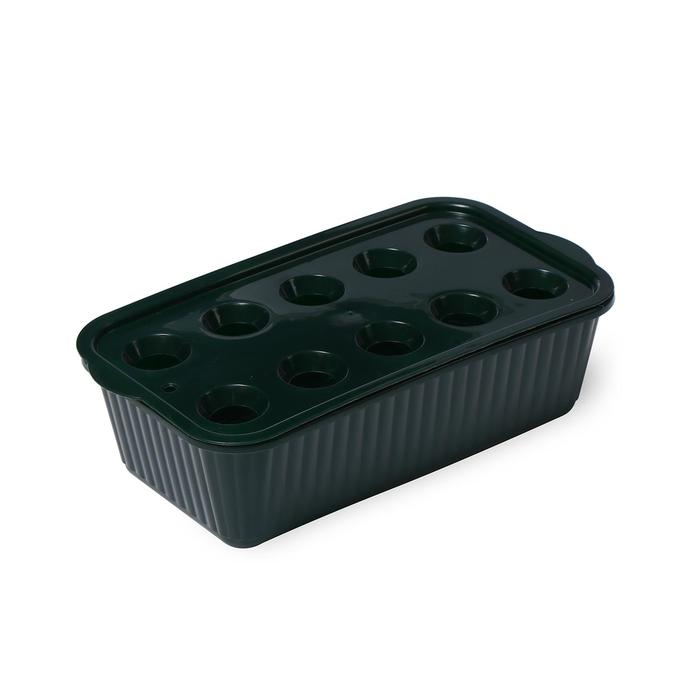 Лоток для выращивания зелёного лука, 10 ячеек, тёмно-зелёный