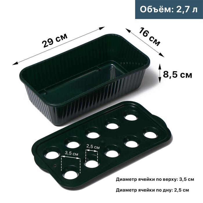 Лоток для выращивания зелёного лука, 10 ячеек, тёмно-зелёный
