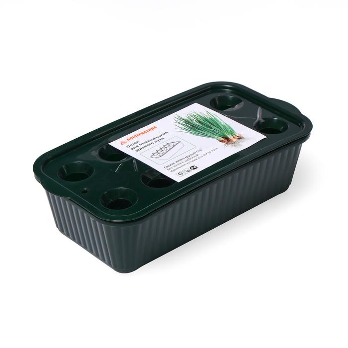 Лоток для выращивания зелёного лука, 10 ячеек, тёмно-зелёный