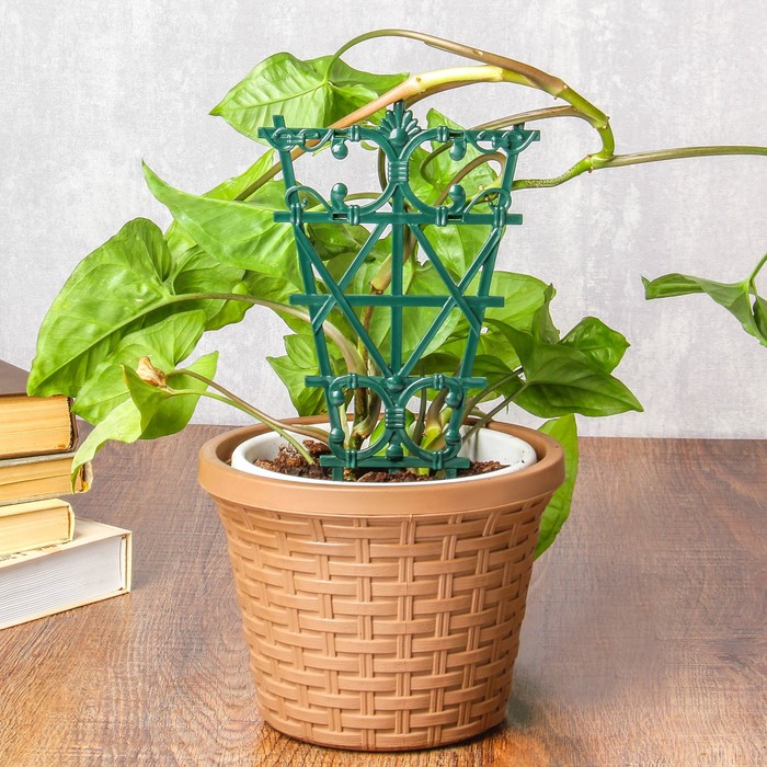 Шпалера-держатель для цветов, h=25 см, набор 2 шт., пластик, зелёное