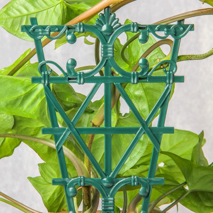 Шпалера-держатель для цветов, h=25 см, набор 2 шт., пластик, зелёное