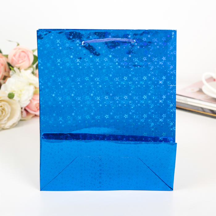 Пакет голография, цвет синий, рисунок МИКС, 18 х 21 х 7 см