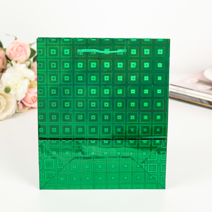 Пакет голография, цвет зелёный, рисунок МИКС, 18 х 21 х 7 см