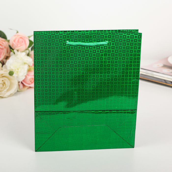 Пакет голография, цвет зелёный, рисунок МИКС, 18 х 21 х 7 см