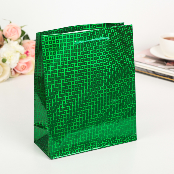 Пакет голография, цвет зелёный, рисунок МИКС, 18 х 21 х 7 см