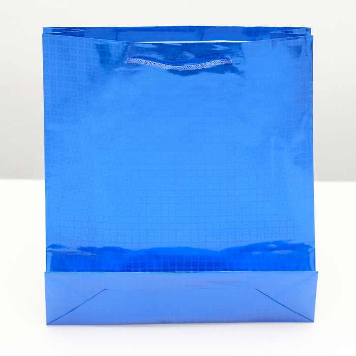 Пакет голография, цвет синий, рисунок МИКС, 23 х 27 х 8 см
