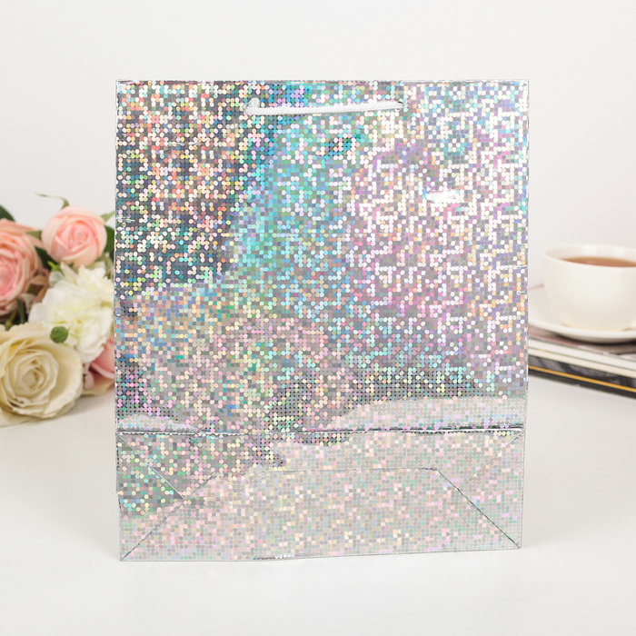Пакет голография, цвет серебряный, рисунок МИКС, 23 х 27 х 8 см