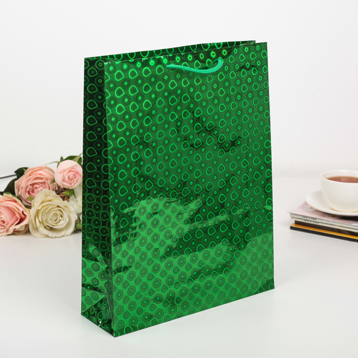 Пакет голография, цвет зелёный, рисунок МИКС, 26 х 34 х 8 см