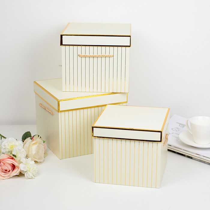 Набор коробок 3в1, 22 х 22 х 18 - 18 х 18 х 16 см