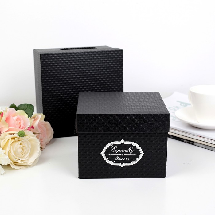 Набор коробок 2в1, чёрный, 17 х 17 х 12,5 - 15 х 15 х 11,5 см