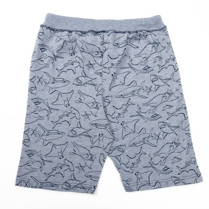 Шорты для мальчика, рост 146 (76) см, цвет серый меланж